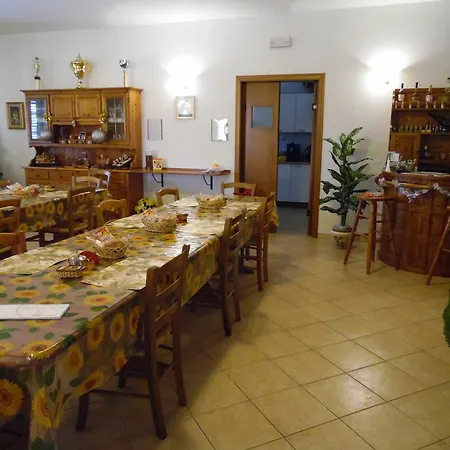 Galeazzi 3*