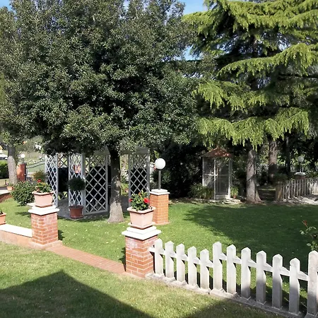 Galeazzi 3*